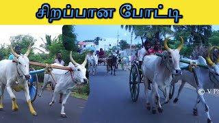 வெள்ளலூர்நாட்டு சின்னமாடு || 12-07-2021