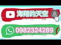 （賽鴿）｜12 23分享黃財戈登⑧ ☎️0982324289（已交流桃園夫婦）賽鴿交流 賽鴿介紹