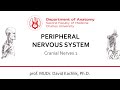 Lecture- Cranial Nerves 1  23.3.2020