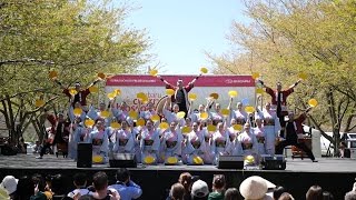 Sakura Sunday 2016 - Tamagawa University Taiko Drum and Dance Troupe