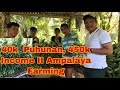 Ampalaya Farming In The Philippines II Magkanu ang Kita sa Pag Tanim ng Ampalaya