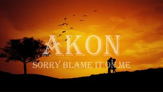 Akon - Sorry blame it on me (Lyrics)