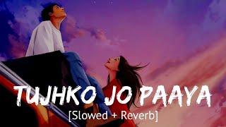 Tujhko jo paaya [Slowed + Reverb] Nikhil Dsouza | Bollywood hindi lofi song