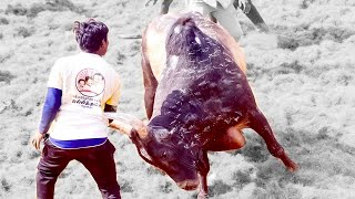 😎முடிஞ்சா தொட்டுப்பார்..! வீரர்களே எச்சரிக்கை..!😱|Jallikattu Highlights Videos| @ILoveJallikattu360