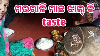 ମଉରାଳି ମାଛ ଝାଲ୍ କି taste/ପାଟିରୁ ଲାଳ ଆସିଯାଉଛି😋