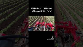 #大豆 #農業 #農tube #大豆栽培 #farming #soyabean #中耕培土