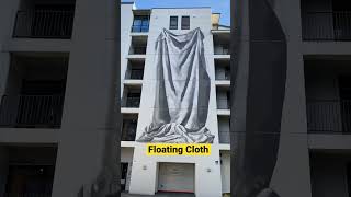 A piece of art clothing covering the entire building #shorts