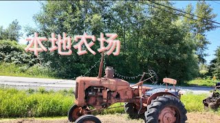 加拿大移民生活逛逛夏天温哥华南素里本地农场