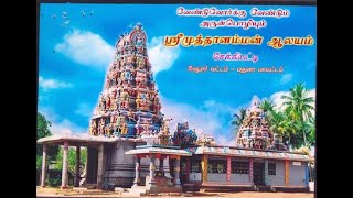 #Myvillage #Thiruvilla #SekkipattiMuthalammankovil #Sekkipatti| Kodi yettram thiruvila in Sekkipatti