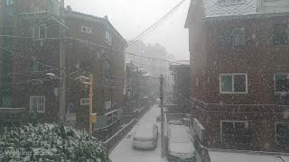 【4K】 A snowy view in Seoul  서울의 기습 폭설