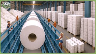 How Toilet Paper Is Made – Massive Harvest Millions of Logs for Toilet Paper Processing