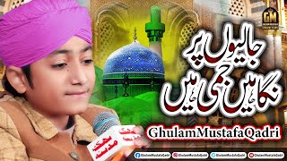 Jaliyon Par Nighaain Jami Hai || Live Mehfil || Ghulam Mustafa Qadri || Super Hit Kalam ||