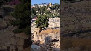 The Mount of Olives Jerusalem Israel 2024