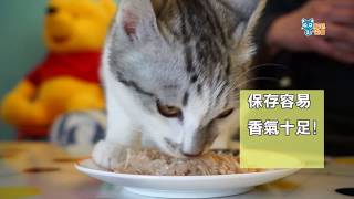 最簡單的腎貓懶人食譜-10分鐘美味上桌
