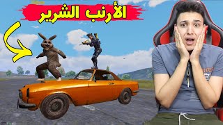 فلم ببجى : الأرنب الشرير هجم على مدينة بوشنكى 🐰 والشرطة تحاول القبض علية فى ببجى موبايل 😱