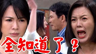 天道│EP36預告 雅潔意外聽見運金與富米爭吵懷疑自己身世 子昇藏鑽戒欲挽回丹青 Fight For Justice│Vidol