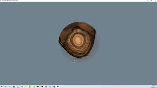 VTK Python Test - FixedPointVolumeRayCastMapperCT -CT_Skin