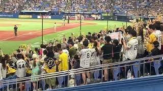 佐藤輝明　17号ホームラン　3ランホームラン　9/3 ヤクルト戦　神宮球場　サトテル