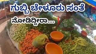 ನಮ್ಮ ಚೇಳೂರು ಸಂತೆಗೆ ಹೋಗ್ಬರಣ ಬನ್ನಿ || chelur tour || gubbi || #nvnbyadarahalli