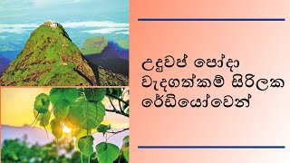 උඳුවප් පුර පසළොස්වක පෝයදා වැදගත්කම් [Udu wap pura poya day]