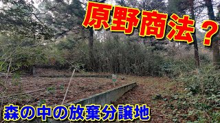 【原野商法？】横芝光町遠山　入口を塞がれた放棄分譲地