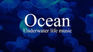 Ocean | Underwater Life with music | #DeepRelaxation