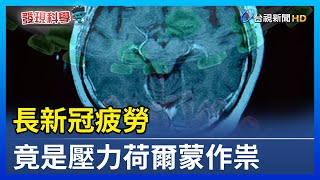 長新冠疲勞 竟是壓力荷爾蒙作祟【發現科學】