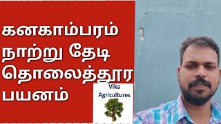 கிடைத்தது கனகாம்பரம் நாற்று, மிக குறைந்த செலவில் அதிக அளவு . ✨வளசல் வெட்டுகாடு நன்றி, சங்கர் அண்ணா