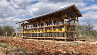 Master Beekeeping: Step-by-Step Build of an Epic Bee House!