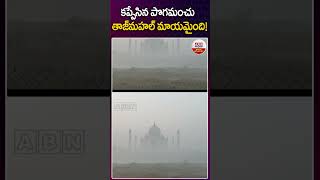 కప్పేసిన పొగమంచు తాజ్ మహల్ మాయమైంది.! #tajmahal #trending #viralvideo #news #abndigitalexclusives