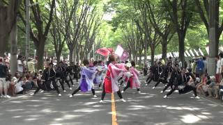 2013年夏舞徒　彩夏祭流し演舞