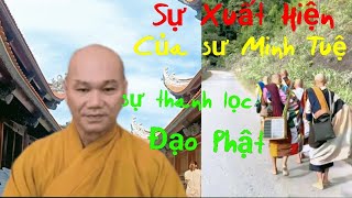 Sự Xuất Hiện Của Sư Minh Tuệ Làm Thanh Lọc Những Vị Giả Tu/ Thầy Bửu Khánh #thichminhtue