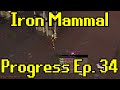 Oldschool Runescape - 2007 Iron Man Progress Ep. 34 | Iron Mammal