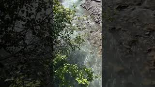 @trinamason videos i filmed compilation ❤️ nature