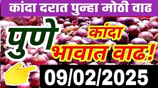 पुणे जिल्हा कांदा भाव वाढले, kanda market report today, kanda bajar bhav today, onion market pune,