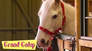 Grand Galop - Mauvais jour pour Stéphanie et Filles contre garçons | Grand Galop Saison 2