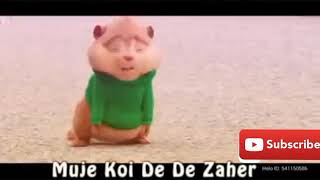 chipmunks dance video| squrrel wala dance|chipmunks cartoon| chipmunks whatsapp video