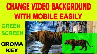 How To Change Video Background In Android & Green Screen Tutorial In Android