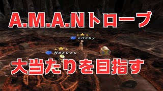 A.M.A.Nトローブ！大当たりを絶対に引けるやつ【FF11】