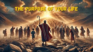 The purpose of your LIFE (Bible Stories)