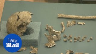 Remains of earliest English colony in America uncovered - Daily Mail