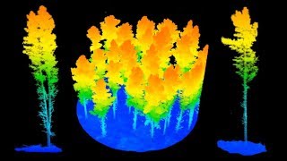 FWPA Project: Carabost 2018 Forest Remote Sensing Data Acquisition Campaign