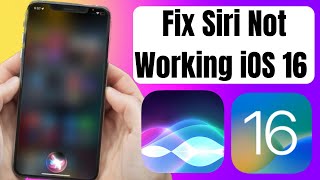 Fix Siri Not Working in iOS 16 | How To Fix Listen Siri Not Working iOS 16