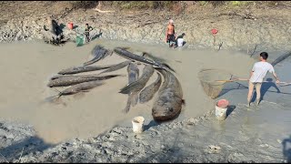 Khmer Catch fish 🐠 រស់យល់ ការពិត ទៅបូមស្រះចាប់ត្រី នៅចំការអូ