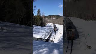 【汽笛音量注意】小鳥のさえずりと峠下トンネルに入る留萌本線普通列車