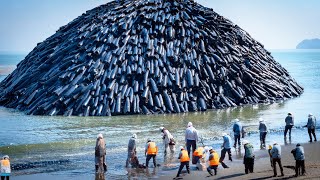 Los Japoneses Empezaron A Verter Toneladas De Hormigón En Medio Del Océano, Y Esa Es La Razón