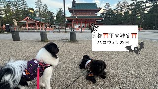 京都⛩️平安神宮⛩️〜ハロウィン編〜