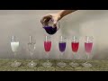 red cabbage experiment youssef magdy