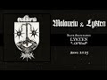 malauriu lykten ~ split