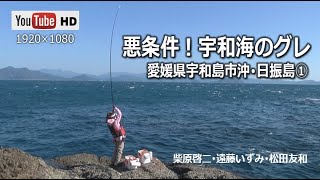 悪条件！宇和海のグレ／愛媛・日振島①